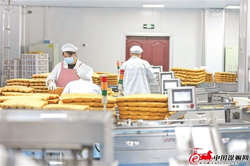鑫億迪食品加工項目 以產業融合帶動蔬菜規?；N植與食品生產升級