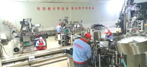 銅梁 龍頭企業引領，做大做強休閑食品產業